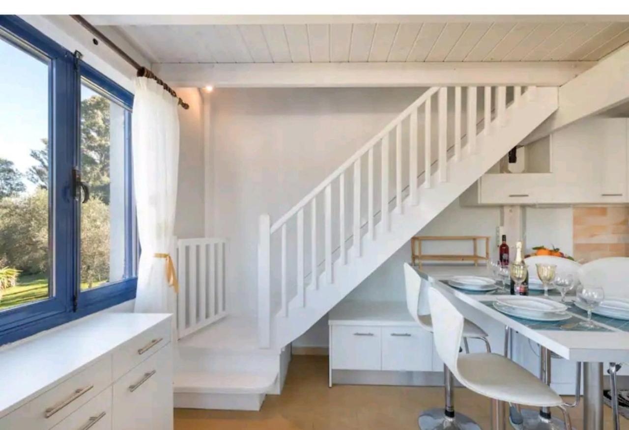 Govino Bay Luxury Beach Loft Apartment Danilia Bagian luar foto